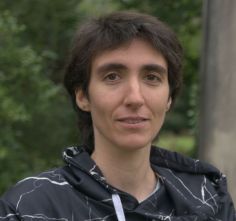 Chevalier Adélie